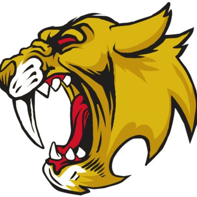 AR30 SABER 04 RQC Thumbnail